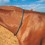 CORREA CUERO PARA CUELLO CABALLO