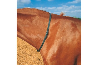 CORREA CUERO PARA CUELLO CABALLO