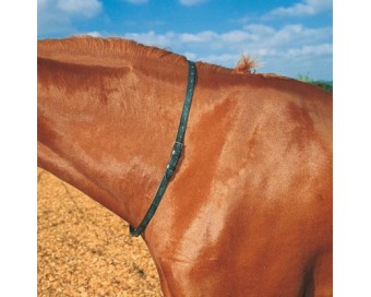 CORREA CUERO PARA CUELLO CABALLO