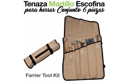 TENAZA/MARTILLO/ESCOFINA HERRAR CONJUNTO 6-PIEZAS