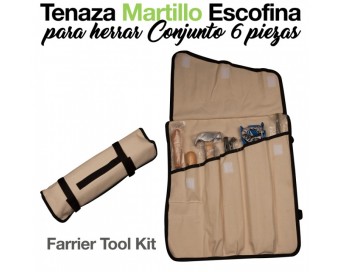 TENAZA/MARTILLO/ESCOFINA HERRAR CONJUNTO 6-PIEZAS