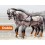 ENGANCHE HUNGARA DOBLE ECO. NEGRO