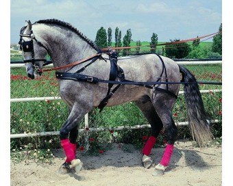 ENGANCHE HUNGARA SENCILLO PECHERIN NEGRO