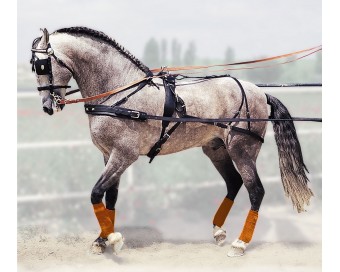 ENGANCHE HUNGARA SENCILLO ECO. NEGRO