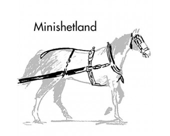 ENGANCHE INGLESA C/COLLERA MINI-SHETLAND NG.