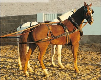 ENGANCHE INGLESA DOBLE COLLARIN