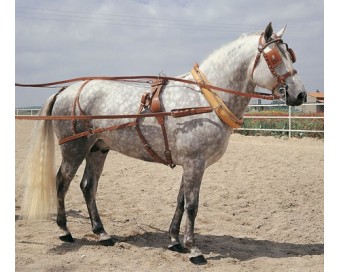 ENGANCHE INGLESA SENCILLO COLLARIN