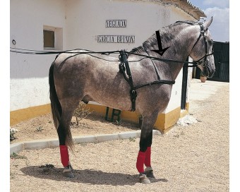 ENGANCHE-RIENDAS TROTON NEGRO