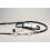 FILETE -P.S- -REWARD SYSTEM- RW21904N