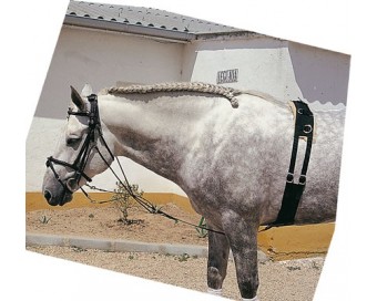 GOGUE CUERO CASTECUS