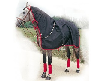 MANTA LLUVIA IMPERMEABLE LIPPO 600