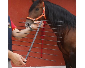 MEDIDOR DORSO PARA CABALLO TH-3505