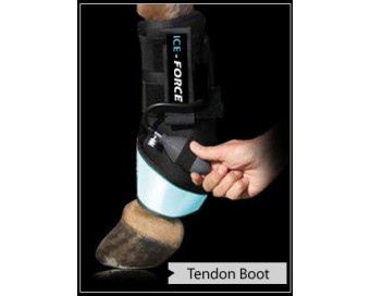 PROTECTOR ICE-FORCE TERAPIA FRIO/CALOR Y PRESION