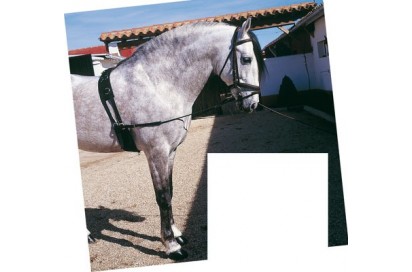 RIENDAS ATAR ELASTICA 1836