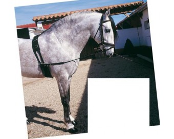 RIENDAS ATAR ELASTICA 1836