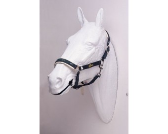 CABEZADA CUADRA NYLON PVC 4514PPME