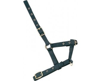 CABEZADA CUADRA NYLON 4018 POTRO