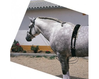 CHAMBON CUERO CASTECUS