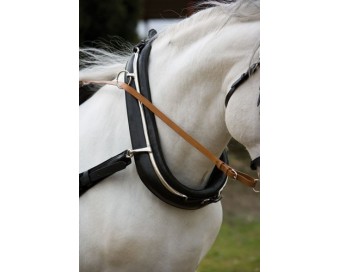 COLLARIN ENGANCHE HH