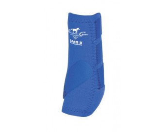 PROTECTOR PROFESSIONAL'S CHOICE SMBII (PAR)