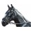 CABEZADA MONTAR PADDING 15-117P