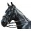 CABEZADA MONTAR PADDING DOBLE RIENDA 1538