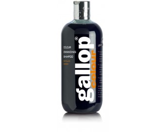 CARR & DAY CHAMPU CABALLOS NEGROS 500ML