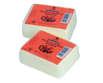 CARR & DAY ESPONJA PEQUEÑA 10CMX7CM