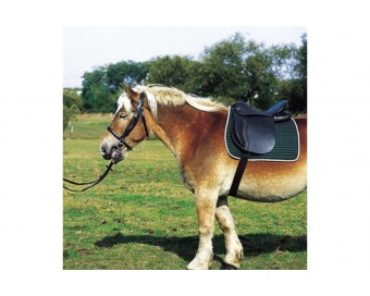 SILLA EXCELSIOR EXTRA-FULL