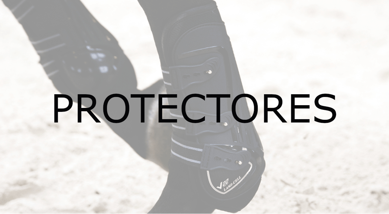 MONTAJE_FCO_PROTECTORES_2.jpg