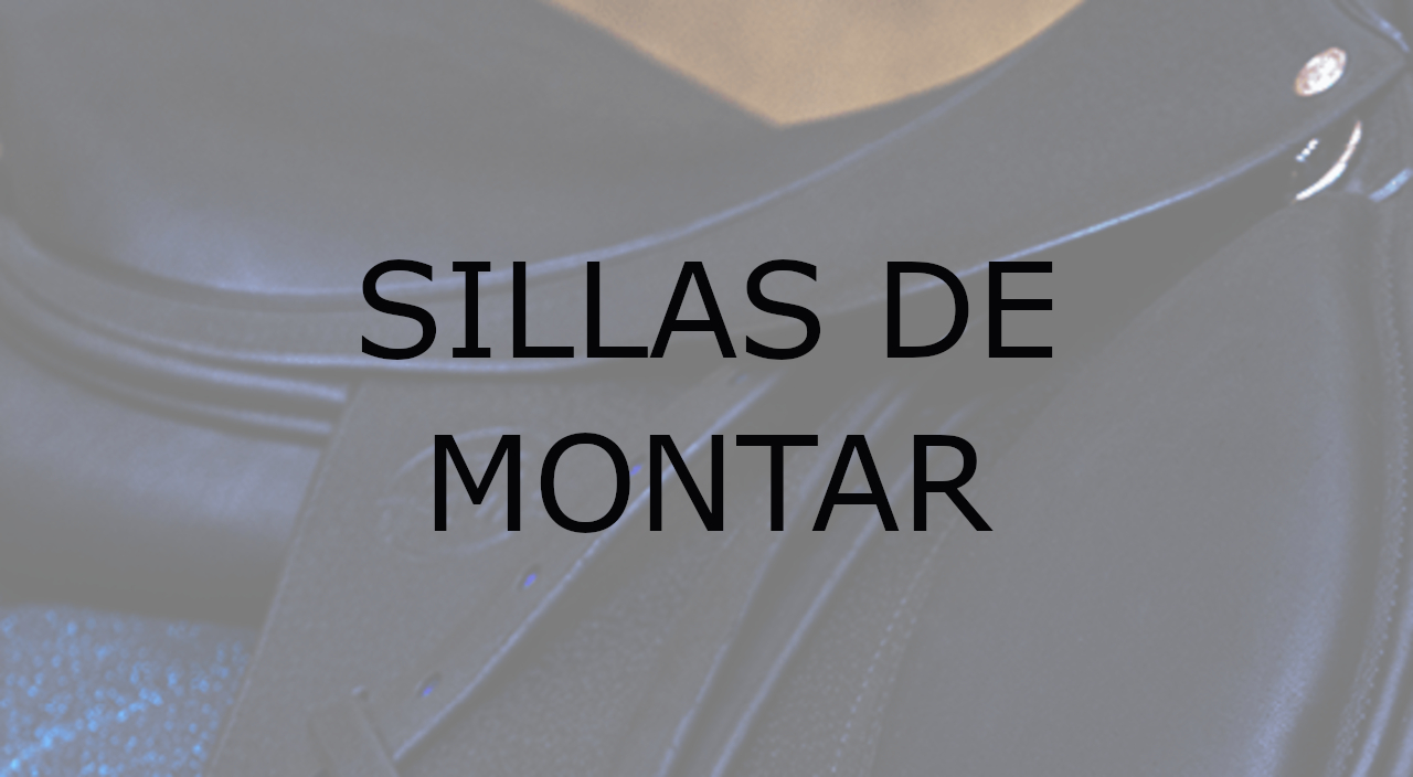 MONTAJE_FCO_SILLAS_2.jpg